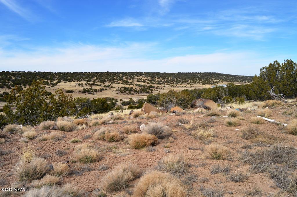 Lot 48 Windsor Valley Ranch Concho, AZ 85924 - Photo 4 of 9