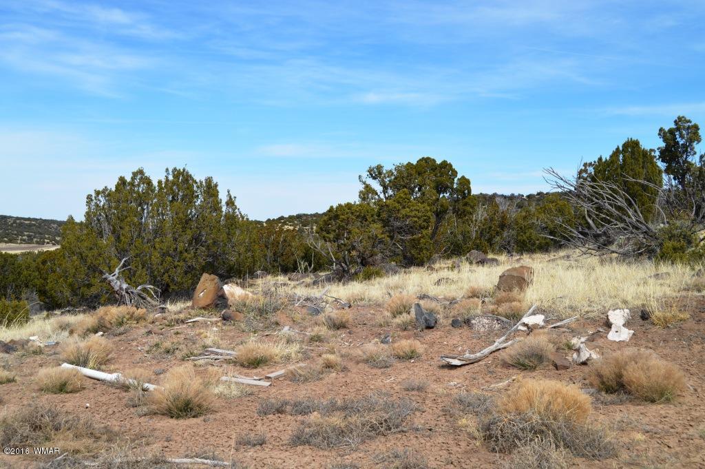Lot 48 Windsor Valley Ranch Concho, AZ 85924 - Photo 5 of 9