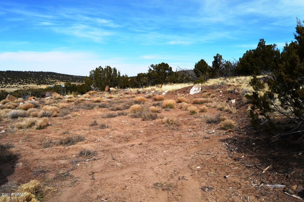 Lot 48 Windsor Valley Ranch Concho, AZ 85924 - Photo 6 of 9