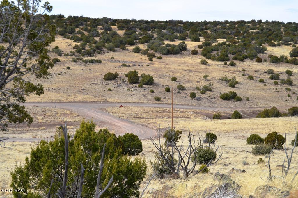 Lot 48 Windsor Valley Ranch Concho, AZ 85924 - Photo 8 of 9