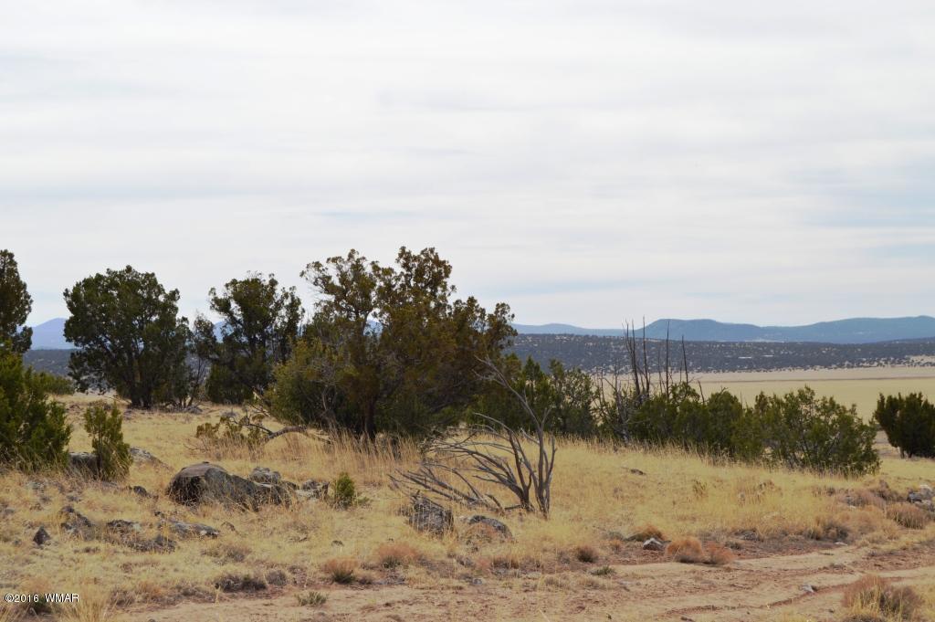 Lot 48 Windsor Valley Ranch Concho, AZ 85924 - Photo 9 of 9