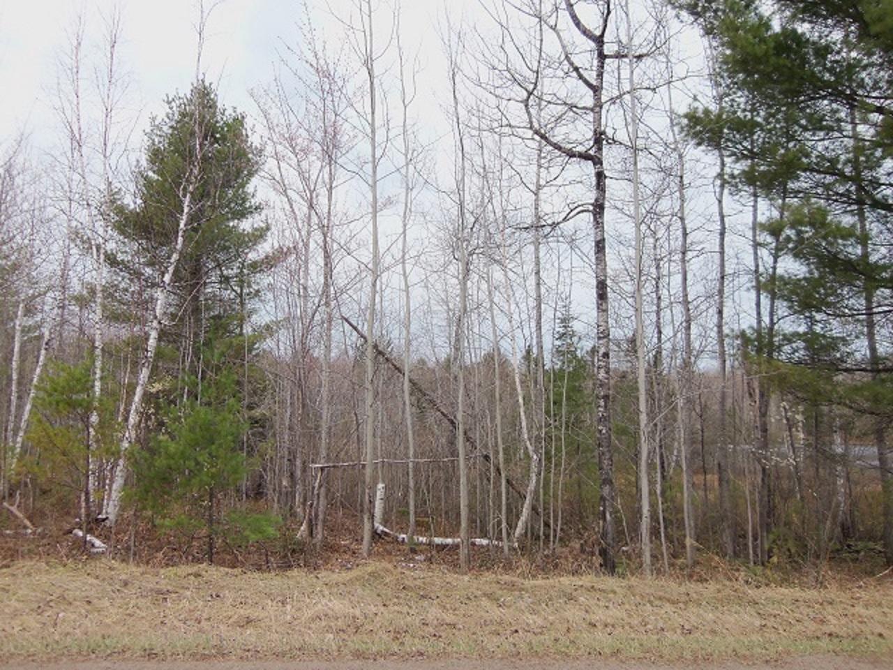Lot 1 Beaver Lodge Road Mercer, WI 54547 - Photo 8 of 8 Gallery Image 8