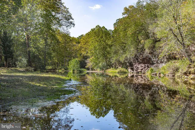 a view of a field with trees