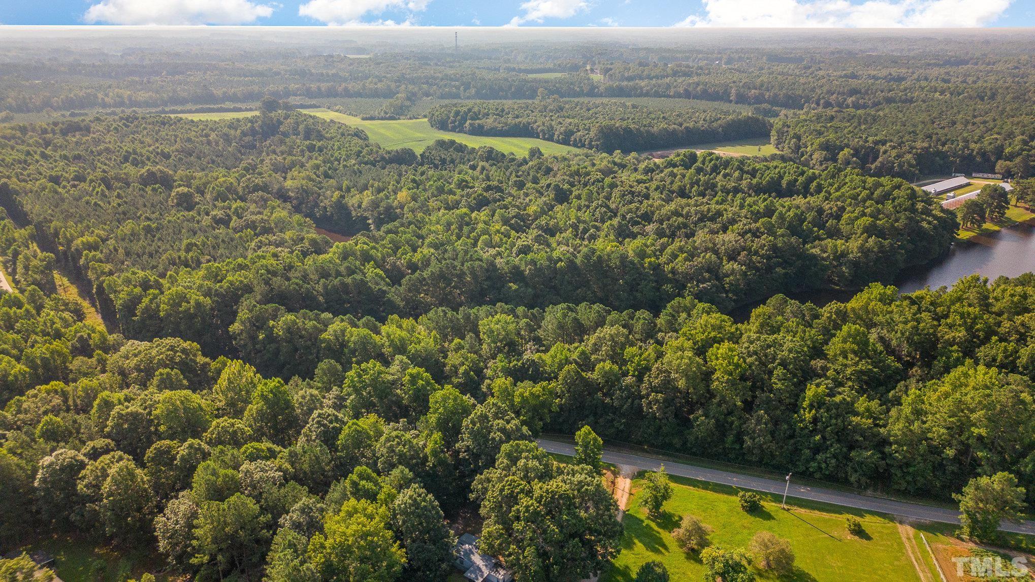 Lot 1 Wiley Road Spring Hope, NC 27882 - Photo 1 of 12 a view of a lake