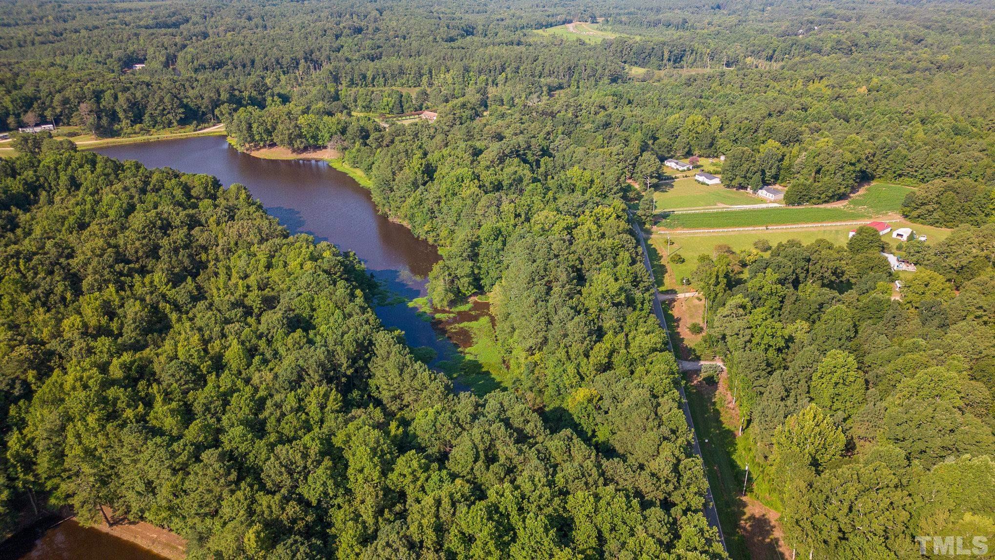 Lot 1 Wiley Road Spring Hope, NC 27882 - Photo 8 of 12 a view of a yard with plants and large trees