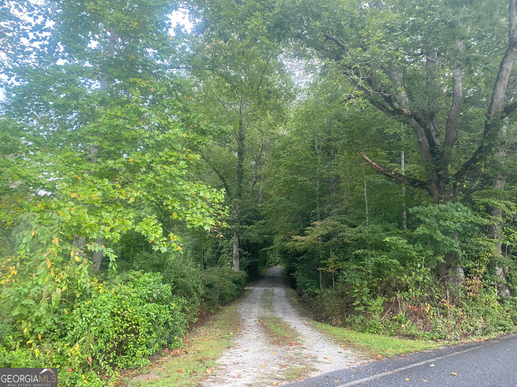 2594 Blue Ridge Gap Road Clayton, GA 30525 - Photo 14 of 77 a view of a yard with plants and large trees