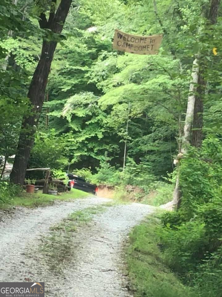 2594 Blue Ridge Gap Road Clayton, GA 30525 - Photo 15 of 77 a view of a field with plants and a bench