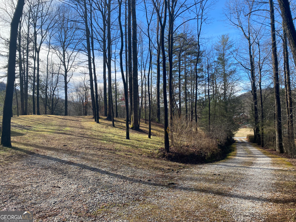 2594 Blue Ridge Gap Road Clayton, GA 30525 - Photo 16 of 77 a view of a backyard with large trees