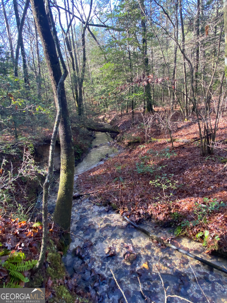 2594 Blue Ridge Gap Road Clayton, GA 30525 - Photo 29 of 77 a view of outdoor space