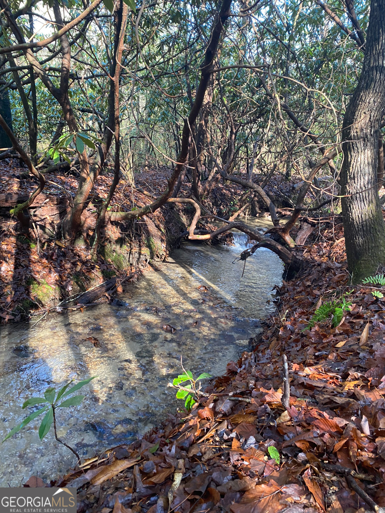 2594 Blue Ridge Gap Road Clayton, GA 30525 - Photo 30 of 77 a backyard of a house with lots of green space