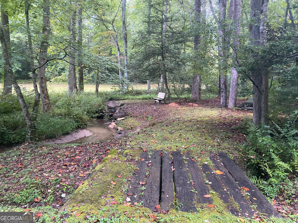 2594 Blue Ridge Gap Road Clayton, GA 30525 - Photo 31 of 77 a view of a yard with plants and trees