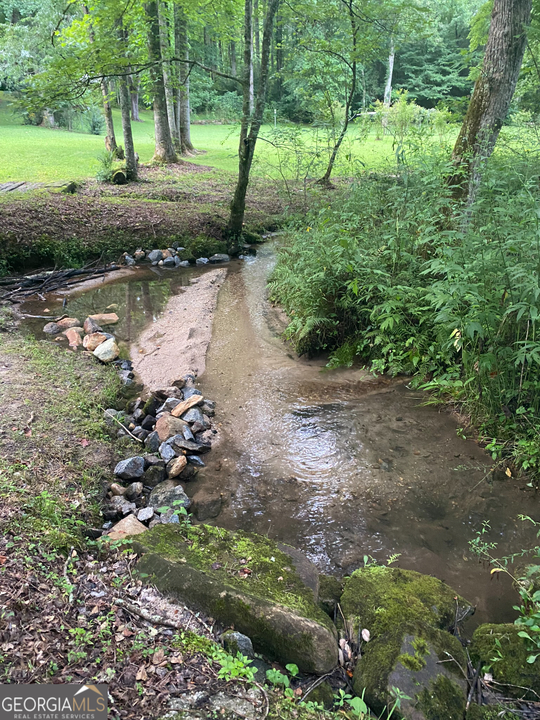 2594 Blue Ridge Gap Road Clayton, GA 30525 - Photo 33 of 77 a view of a lush green forest