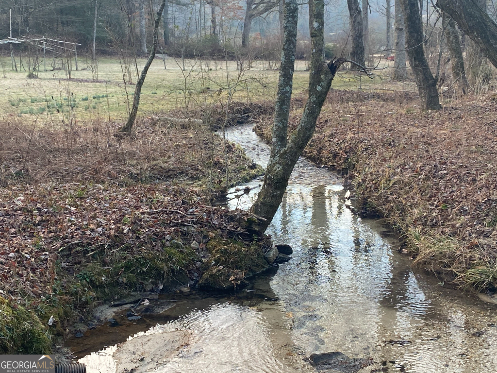2594 Blue Ridge Gap Road Clayton, GA 30525 - Photo 34 of 77 a view of outdoor space and yard