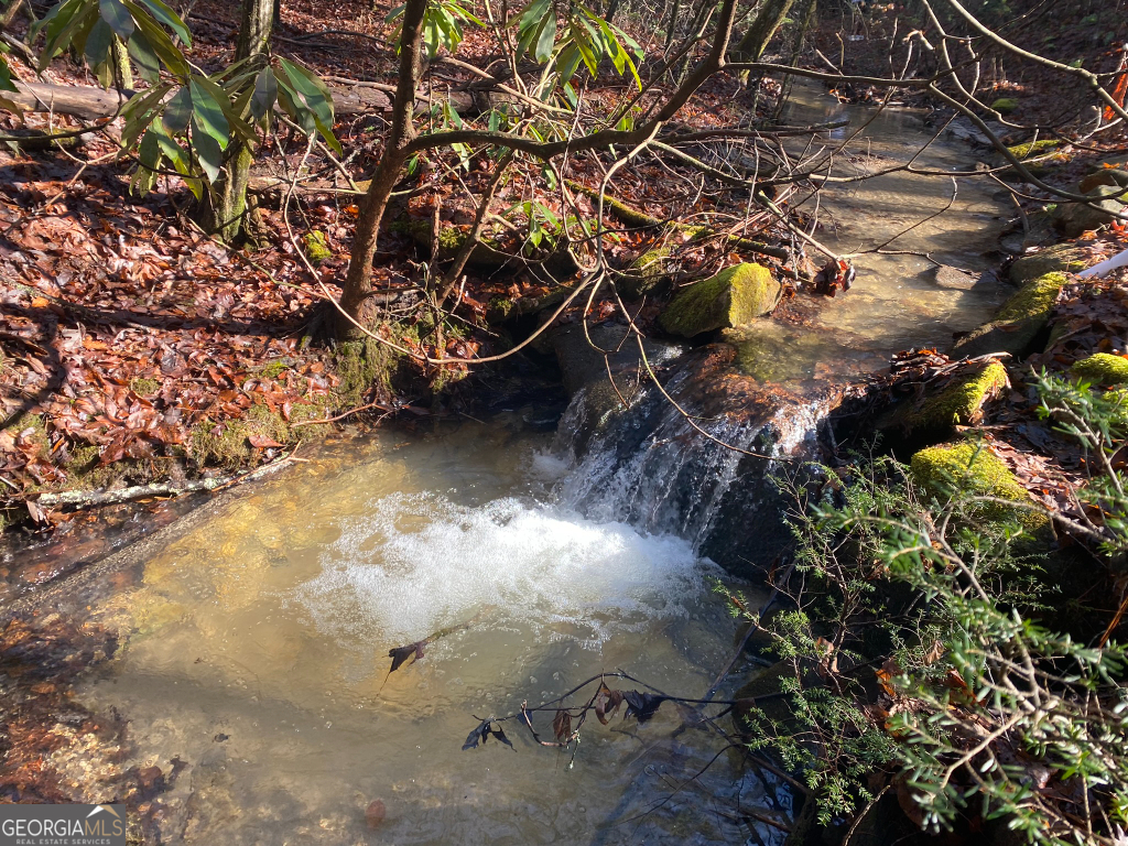2594 Blue Ridge Gap Road Clayton, GA 30525 - Photo 35 of 77 a view of a tree with a yard