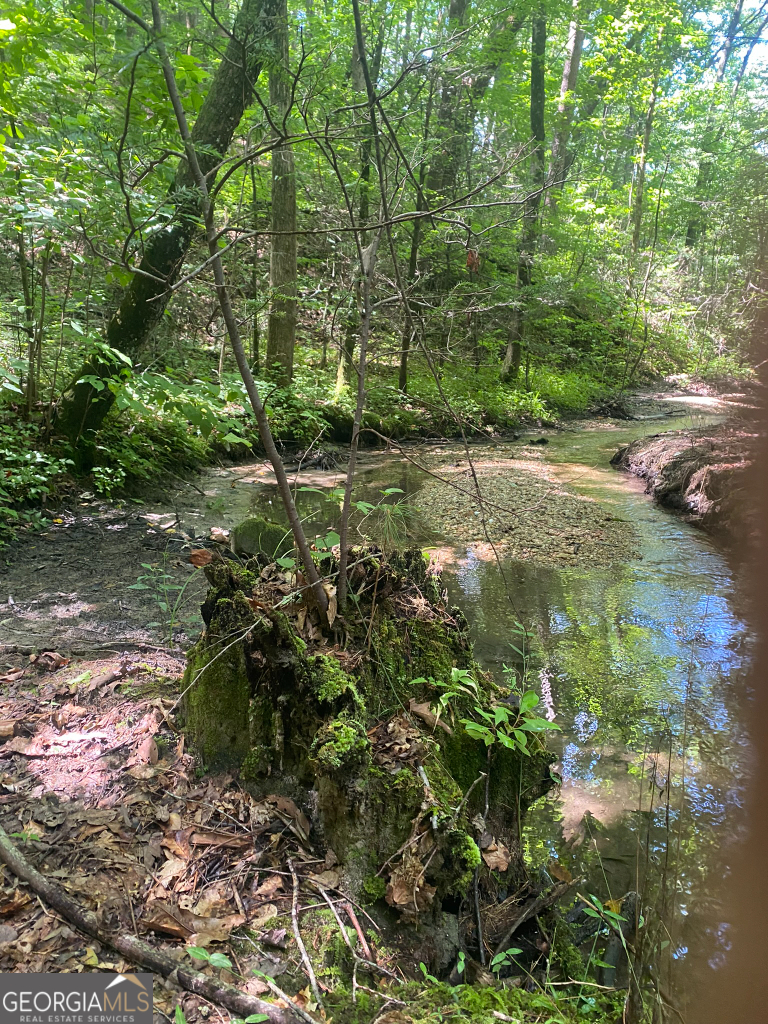 2594 Blue Ridge Gap Road Clayton, GA 30525 - Photo 36 of 77 a backyard of a house with a yard