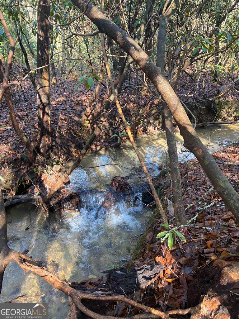 2594 Blue Ridge Gap Road Clayton, GA 30525 - Photo 37 of 77 a view of a tree