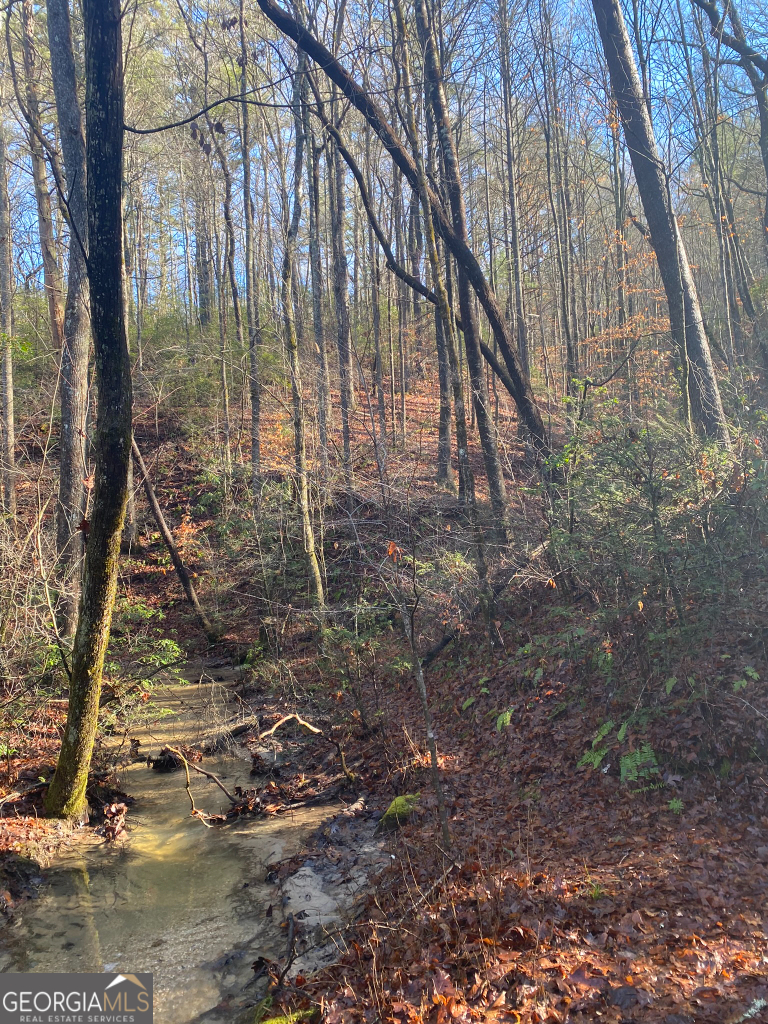 2594 Blue Ridge Gap Road Clayton, GA 30525 - Photo 38 of 77 a backyard of a house with lots of green space