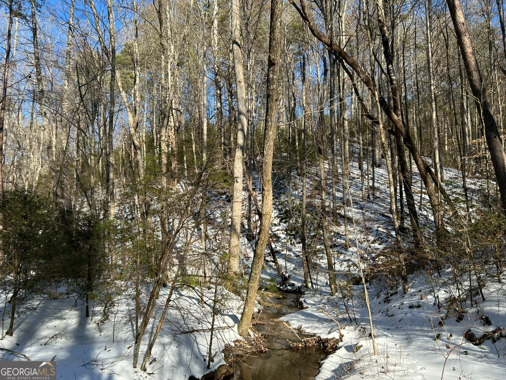 2594 Blue Ridge Gap Road Clayton, GA 30525 - Photo 39 of 77