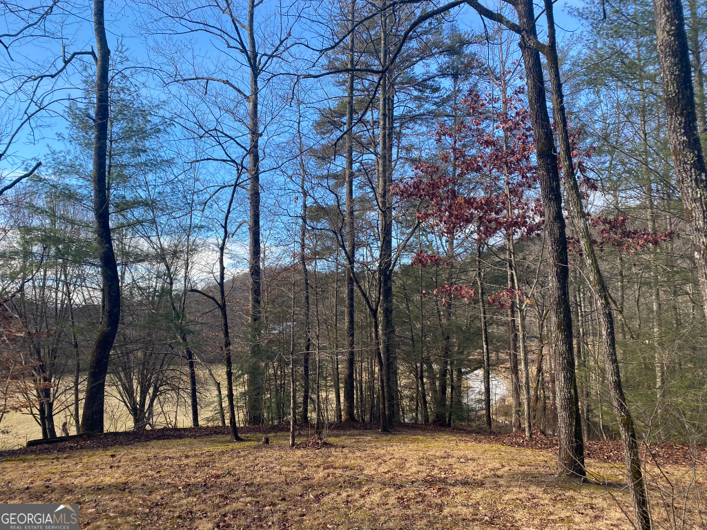 2594 Blue Ridge Gap Road Clayton, GA 30525 - Photo 40 of 77