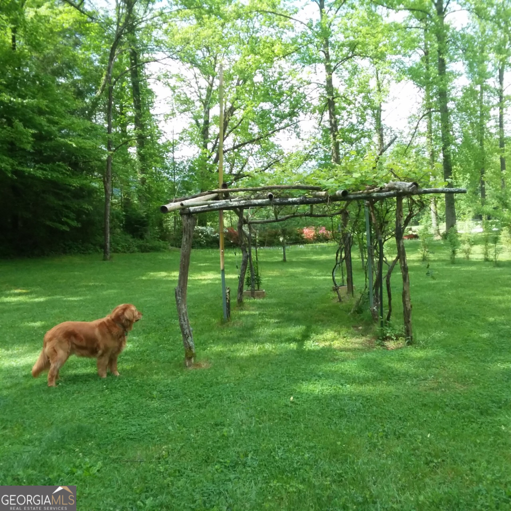 2594 Blue Ridge Gap Road Clayton, GA 30525 - Photo 41 of 77 a view of a park with large trees