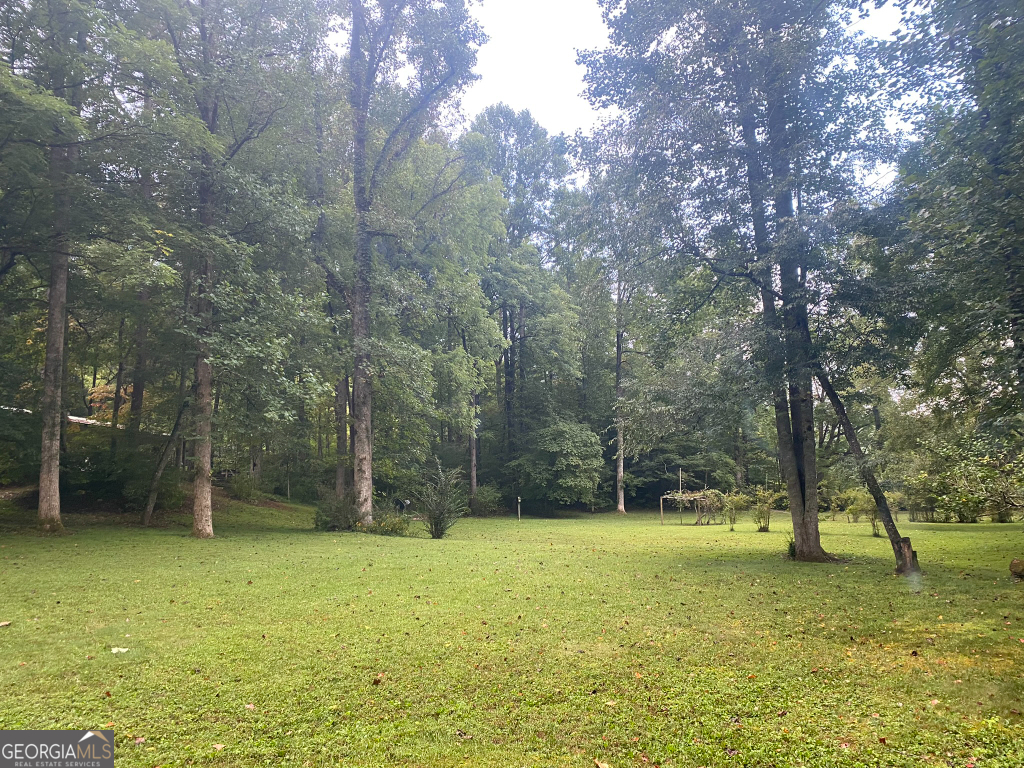 2594 Blue Ridge Gap Road Clayton, GA 30525 - Photo 42 of 77 a view of a yard with a tree