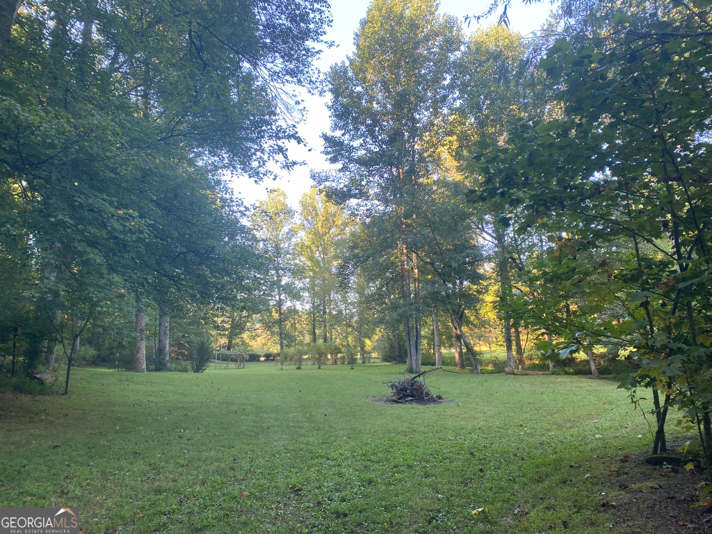 2594 Blue Ridge Gap Road Clayton, GA 30525 - Photo 43 of 77 a huge green field with lots of trees