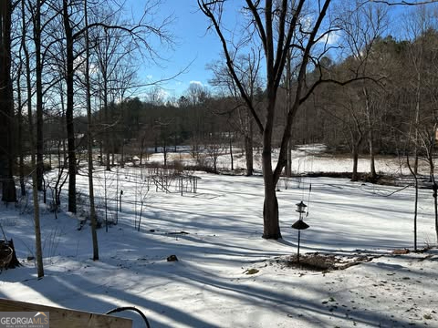2594 Blue Ridge Gap Road Clayton, GA 30525 - Photo 46 of 77 a view of a yard with street