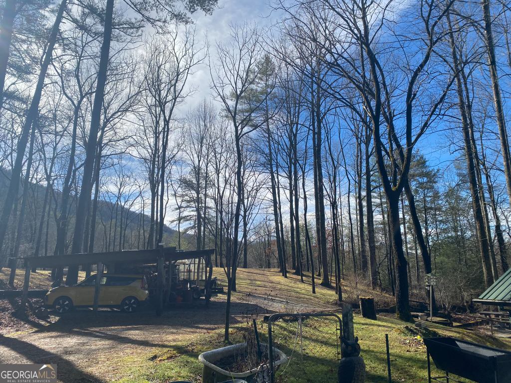 2594 Blue Ridge Gap Road Clayton, GA 30525 - Photo 48 of 77