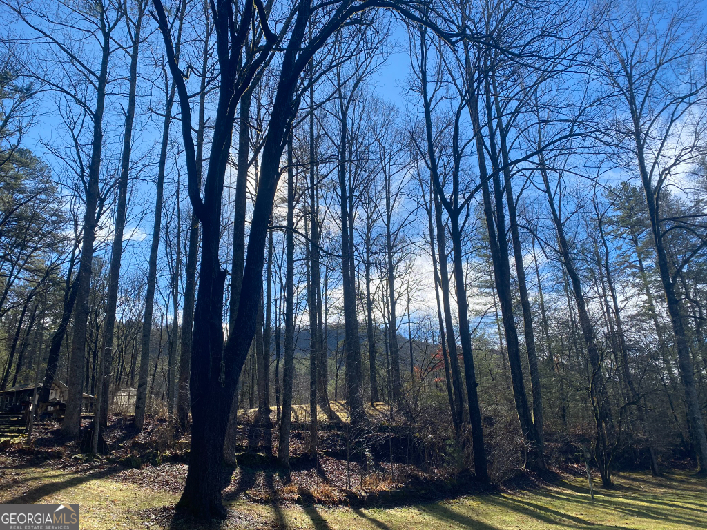 2594 Blue Ridge Gap Road Clayton, GA 30525 - Photo 49 of 77