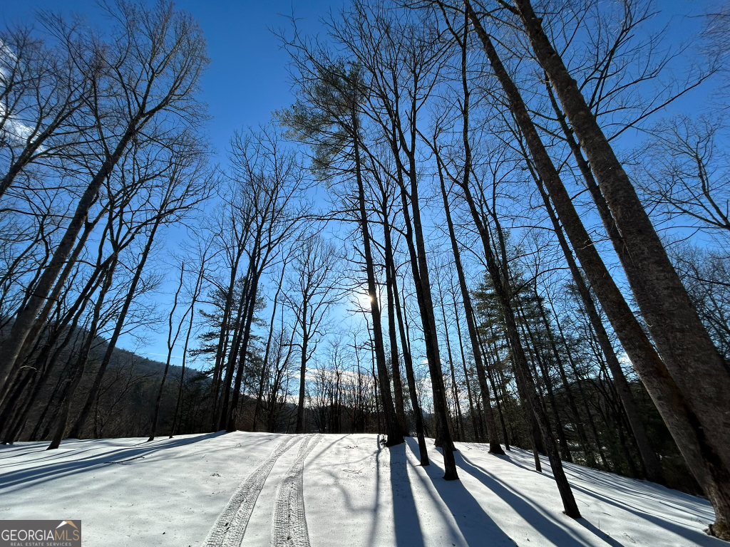 2594 Blue Ridge Gap Road Clayton, GA 30525 - Photo 50 of 77 a view of balcony with a small space