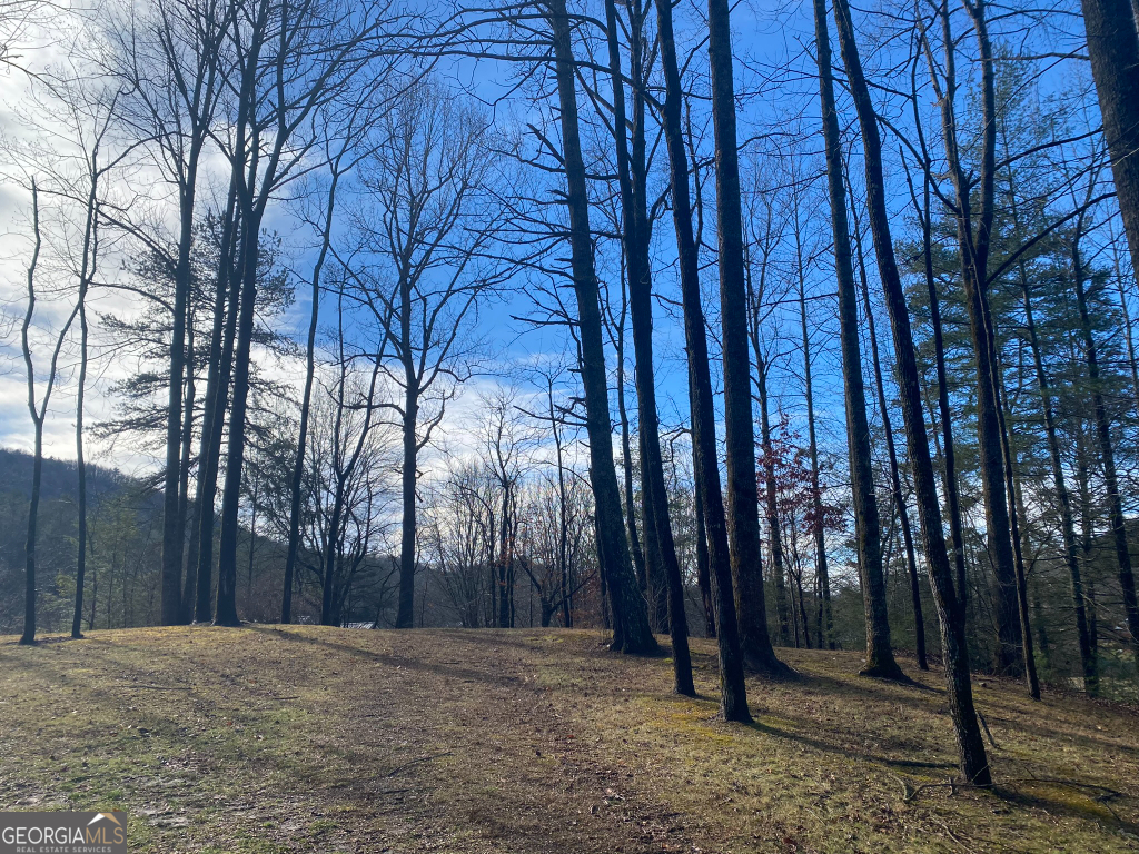 2594 Blue Ridge Gap Road Clayton, GA 30525 - Photo 51 of 77 a view of backyard with trees