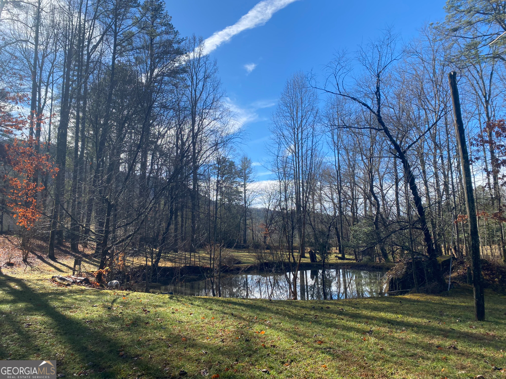 2594 Blue Ridge Gap Road Clayton, GA 30525 - Photo 52 of 77