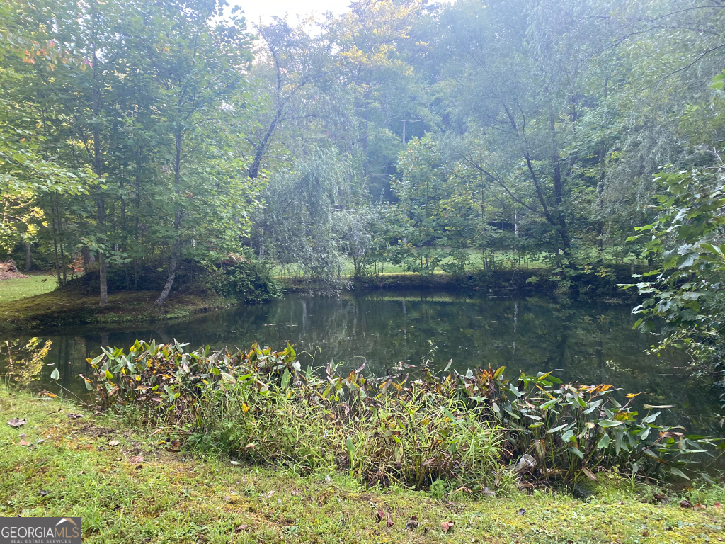 2594 Blue Ridge Gap Road Clayton, GA 30525 - Photo 53 of 77 a view of lake