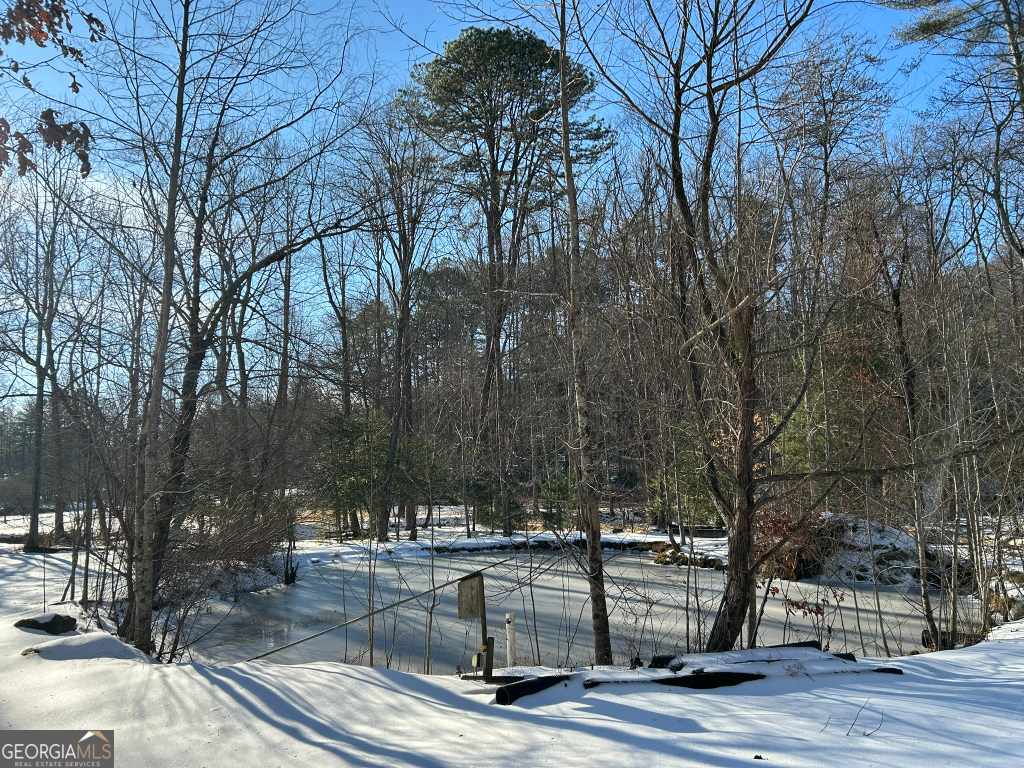 2594 Blue Ridge Gap Road Clayton, GA 30525 - Photo 54 of 77