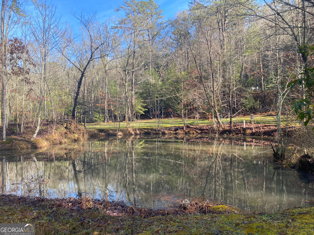 2594 Blue Ridge Gap Road Clayton, GA 30525 - Photo 55 of 77
