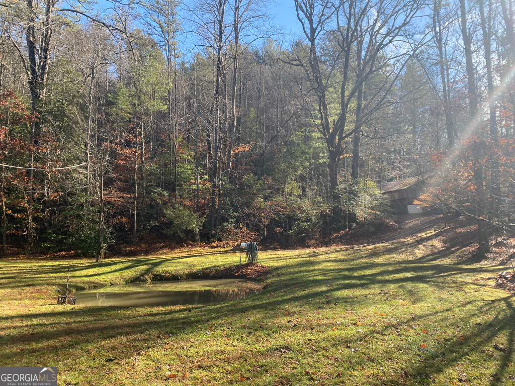 2594 Blue Ridge Gap Road Clayton, GA 30525 - Photo 57 of 77 a view of swimming pool with an ocean view