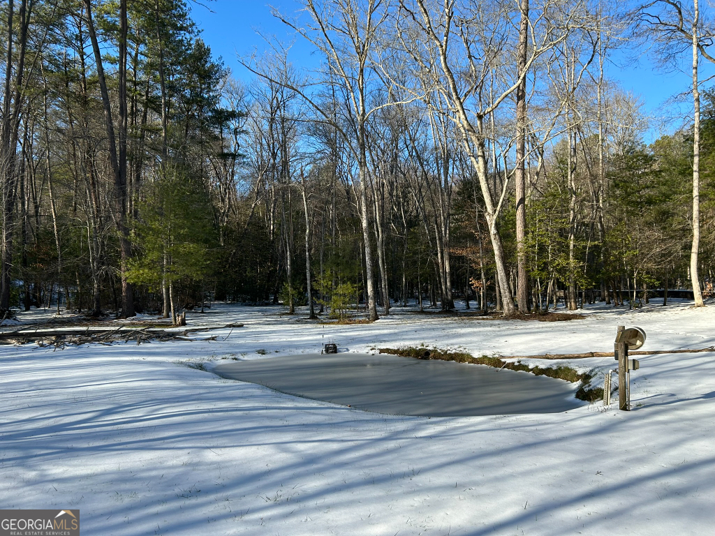 2594 Blue Ridge Gap Road Clayton, GA 30525 - Photo 58 of 77 a view of a park with trees