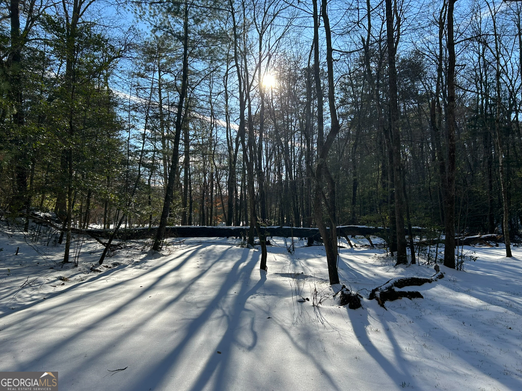 2594 Blue Ridge Gap Road Clayton, GA 30525 - Photo 59 of 77 a park bench sitting in the middle of a park