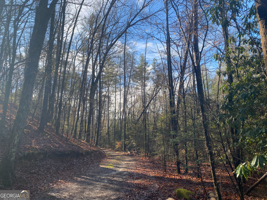 2594 Blue Ridge Gap Road Clayton, GA 30525 - Photo 60 of 77 a view of outdoor space with green space