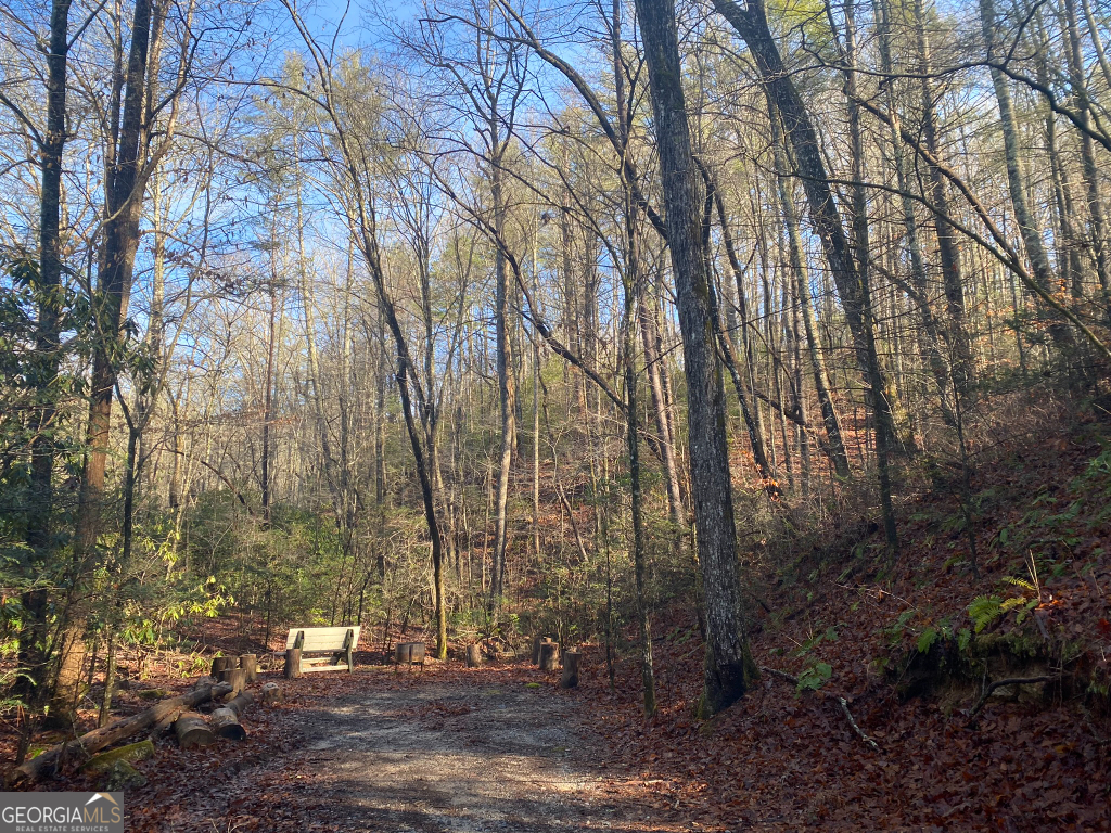 2594 Blue Ridge Gap Road Clayton, GA 30525 - Photo 61 of 77 a view of outdoor space and yard