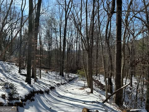 2594 Blue Ridge Gap Road Clayton, GA 30525 - Photo 62 of 77