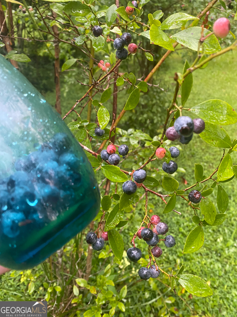 2594 Blue Ridge Gap Road Clayton, GA 30525 - Photo 71 of 77