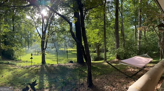 2594 Blue Ridge Gap Road Clayton, GA 30525 - Photo 76 of 77 a view of a yard with an outdoor space