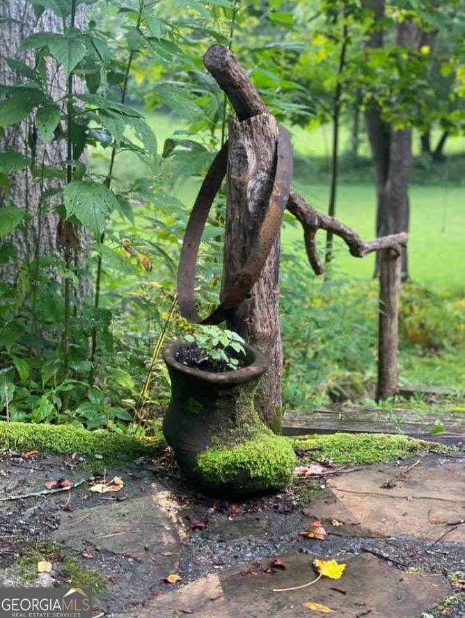 2594 Blue Ridge Gap Road Clayton, GA 30525 - Photo 77 of 77