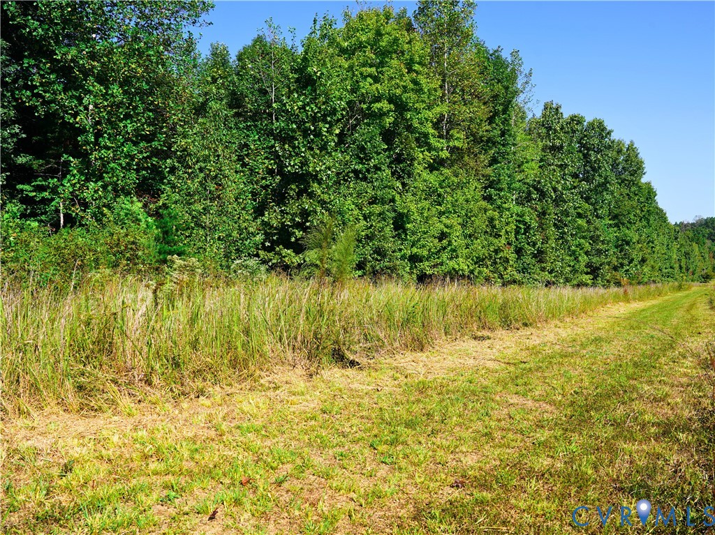 0 Redd Shop Road Farmville, VA 23901 - Photo 11 of 25 a view of a lake view