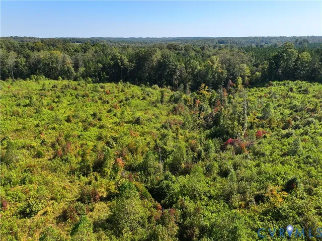 a view of a lush green field