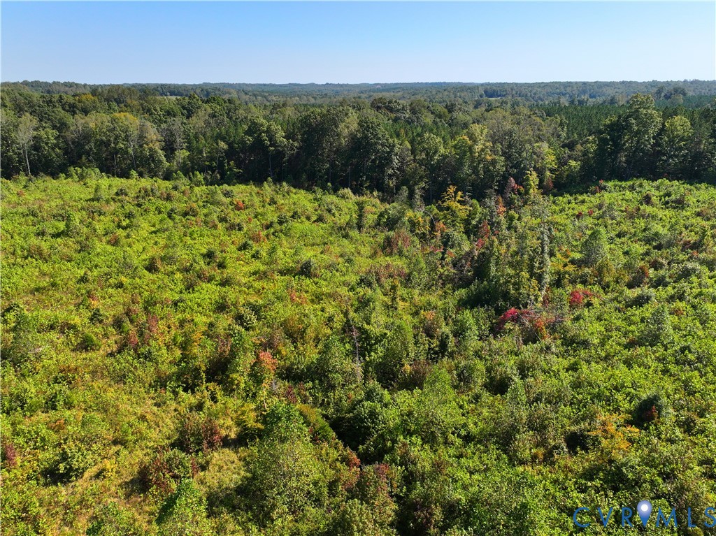0 Redd Shop Road Farmville, VA 23901 - Photo 14 of 25 a view of a bunch of trees and bushes