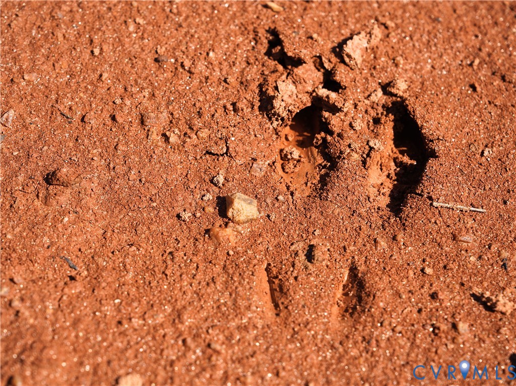 0 Redd Shop Road Farmville, VA 23901 - Photo 15 of 25