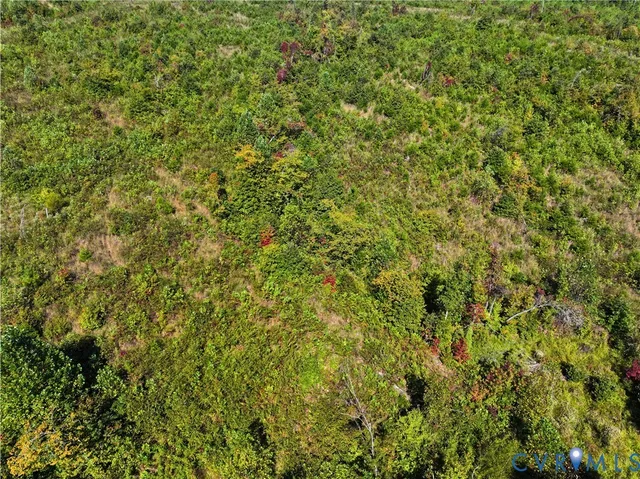 a view of a lake with a ground