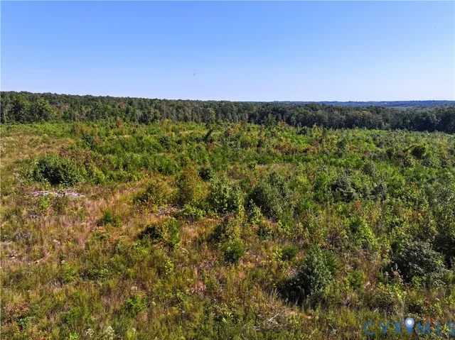 a view of a green field with lots of bushes